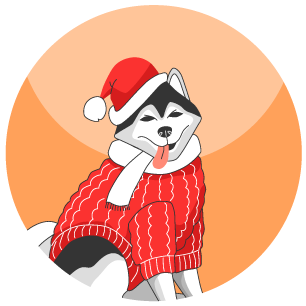 Stylish clothing and fashion accessories for dogs and cats