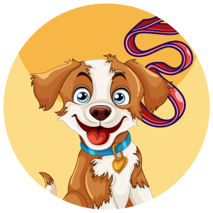 Pet travel and walking accessories for dogs and cats