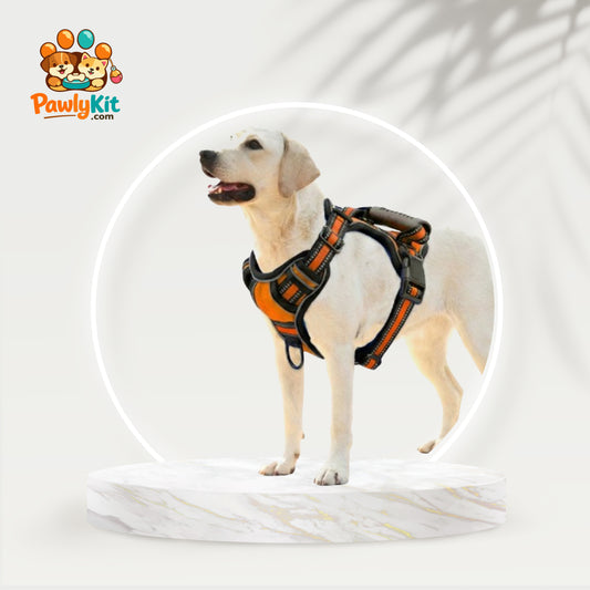 No-Pull Dog Harness – Breathable & Reflective Pet Vest for Small to Large Dogs